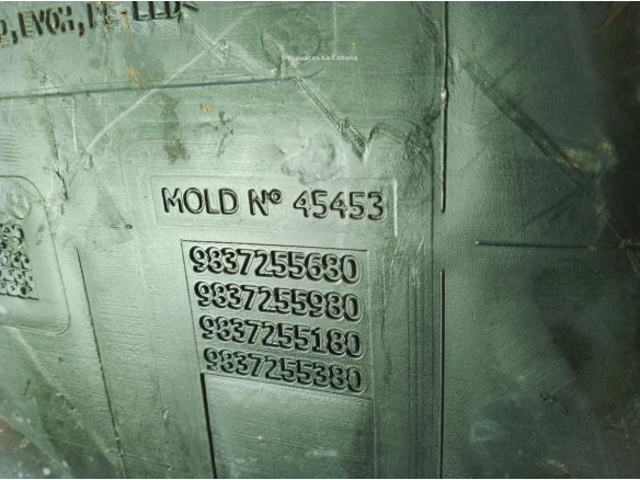 9845925080 DEPOSITO COMBUSTIBLE CITROEN C4 III (BA_, BB_, BC_)|Desguaces La Cabaña
