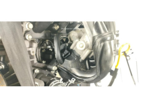 SHDC MOTOR FORD FOCUS II (DA_, HCP)|Desguaces La Cabaña