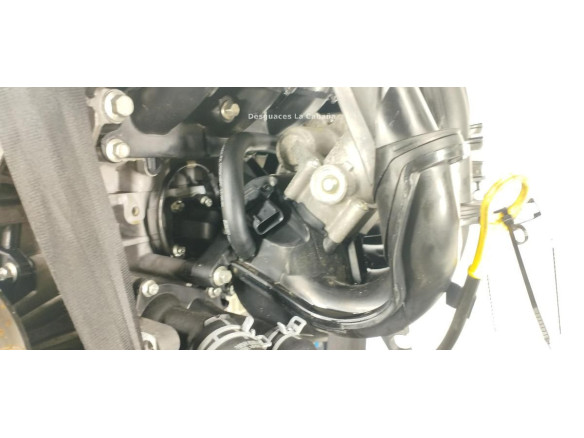 SHDC MOTOR FORD FOCUS II (DA_, HCP)|Desguaces La Cabaña