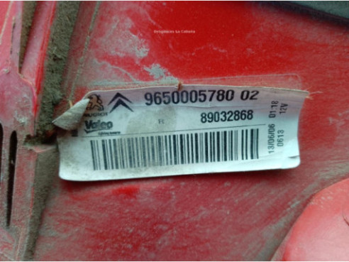 9650005780 PILOTO TRA DER EXT CITROEN XSARA PICASSO (N68)|Desguaces La Cabaña