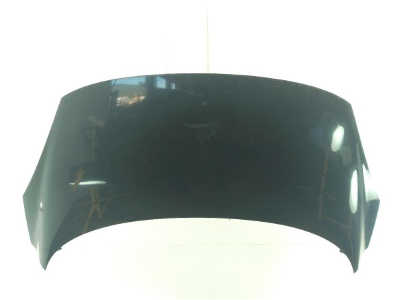 651008842R  CAPO RENAULT SCENIC III (JZ0/1_)|Desguaces La Cabaña