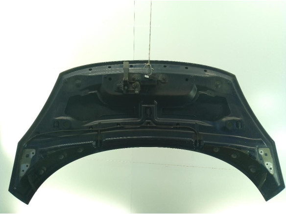651008842R  CAPO RENAULT SCENIC III (JZ0/1_)|Desguaces La Cabaña