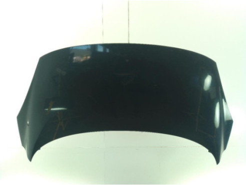 651008842R  CAPO RENAULT SCENIC III (JZ0/1_)|Desguaces La Cabaña