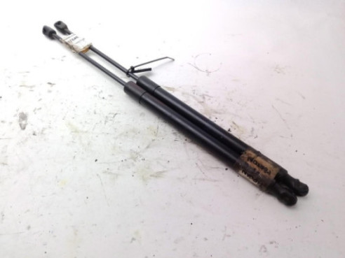 5N082755004S AMORTIGUADOR PORTON / TAPA MALETA VW TIGUAN (5N_)|Desguaces La Cabaña