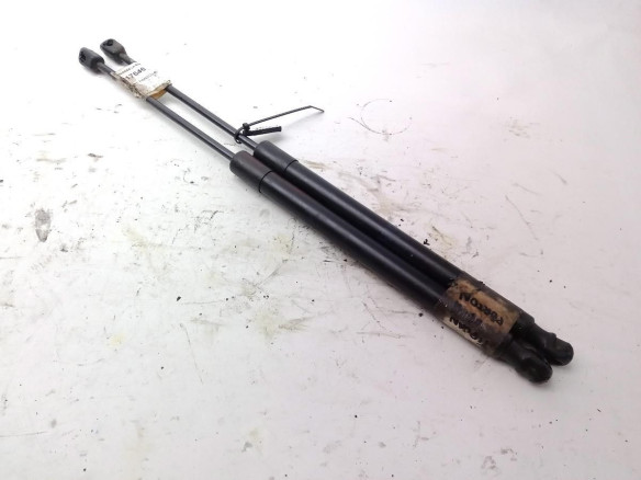 5N082755004S AMORTIGUADOR PORTON / TAPA MALETA VW TIGUAN (5N_)|Desguaces La Cabaña