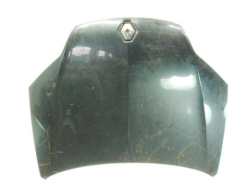 651000021R  CAPO RENAULT LAGUNA III (BT0/1)|Desguaces La Cabaña