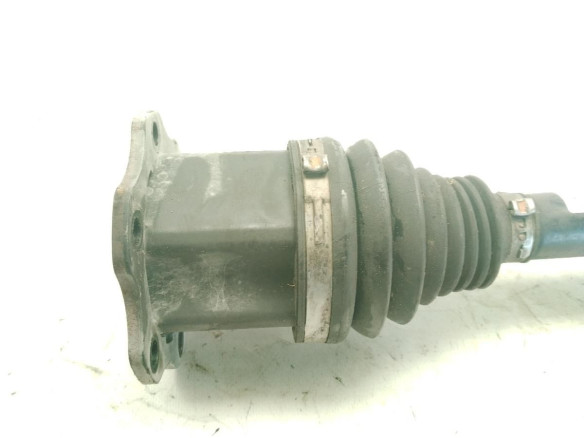 8W0407271P  PALIER DEL DER AUDI A4 Avant (8W5, B9)|Desguaces La Cabaña