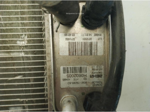 H0602005541 RADIADOR AGUA FORD S-MAX (WA6)|Desguaces La Cabaña