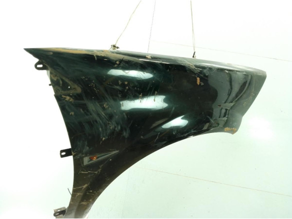 ALETA DEL DER RENAULT MEGANE II (BM0/1_, CM0/1_)|Desguaces La Cabaña