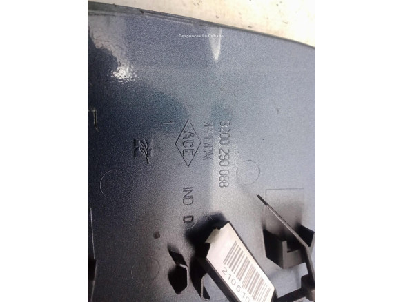 8200290088 TAPA COMBUSTIBLE RENAULT CLIO III (BR0/1, CR0/1)|Desguaces La Cabaña
