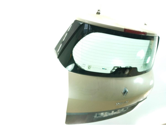 901001629R  PORTON RENAULT SCENIC II (JM0/1_)|Desguaces La Cabaña