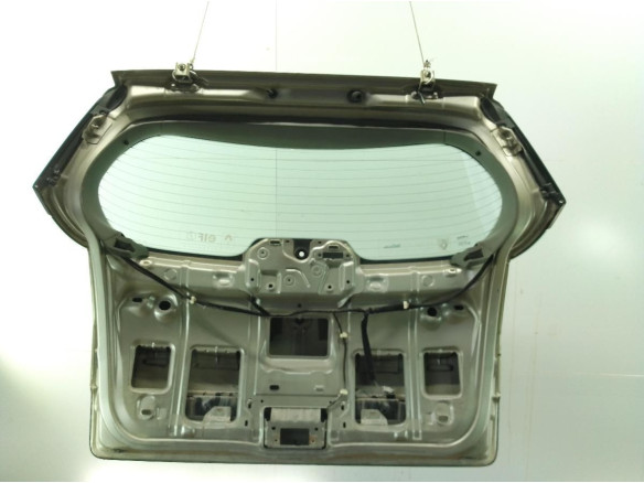 901001629R  PORTON RENAULT SCENIC II (JM0/1_)|Desguaces La Cabaña