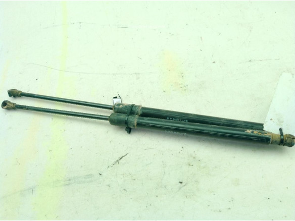 9813177780 AMORTIGUADOR PORTON / TAPA MALETA CITROEN C3 III (SX)|Desguaces La Cabaña