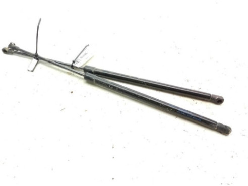 AMORTIGUADOR PORTON / TAPA MALETA NISSAN JUKE (F15)|Desguaces La Cabaña