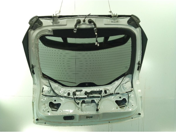 67005F4020 PORTON TOYOTA C-HR (_X1_)|Desguaces La Cabaña