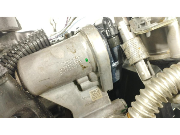 46341162 MOTOR FIAT PANDA (312_, 319_)|Desguaces La Cabaña