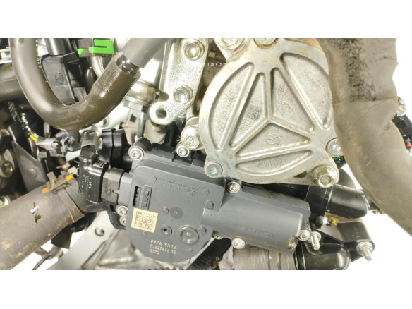 PEX3 MOTOR MAZDA CX-5 (KF)|Desguaces La Cabaña