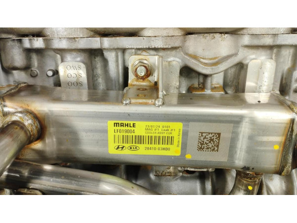 G4LE MOTOR KIA XCEED (CD)|Desguaces La Cabaña