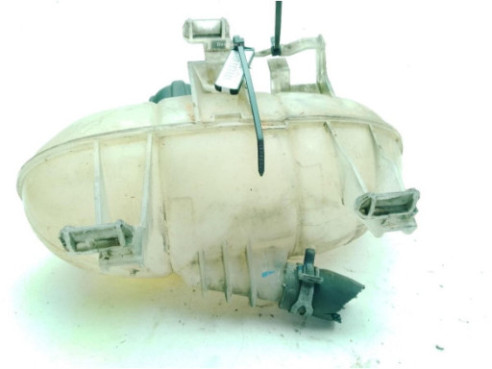 217101893R BOTE EXPANSOR NISSAN NV300 Furgón (X82)|Desguaces La Cabaña