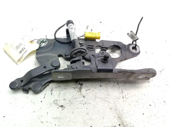 BISAGRA CAPO DER BMW 5 (F10)|Desguaces La Cabaña