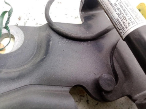 BISAGRA CAPO DER BMW 5 (F10)|Desguaces La Cabaña