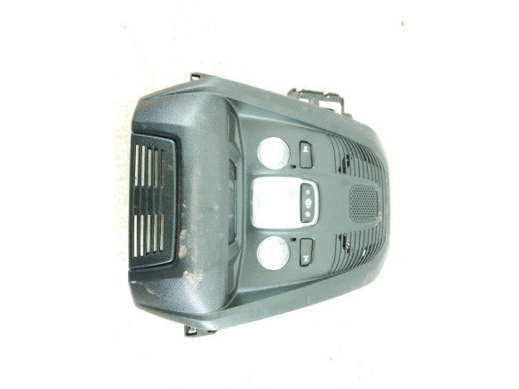 110721A0B0 PLAFON DEL PEUGEOT 3008 SUV (M_)|Desguaces La Cabaña