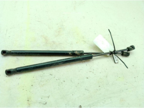 654704774R AMORTIGUADOR CAPO RENAULT MEGANE IV Grandtour (K9A/M_)|Desguaces La Cabaña
