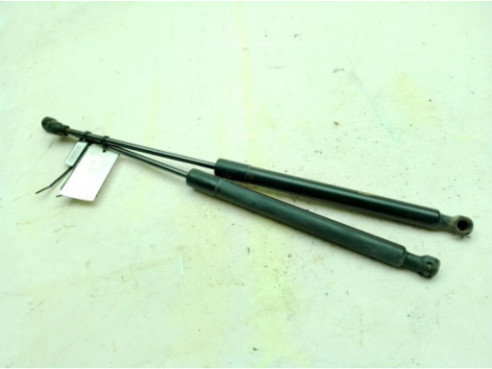 904529943R AMORTIGUADOR PORTON / TAPA MALETA DACIA SANDERO II|Desguaces La Cabaña
