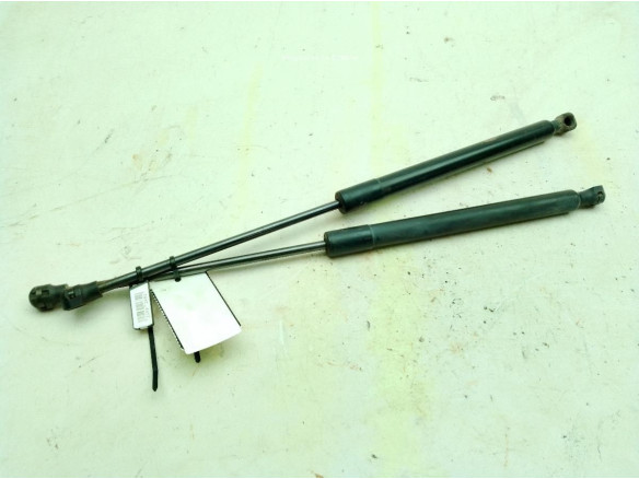 904529943R AMORTIGUADOR PORTON / TAPA MALETA DACIA SANDERO II|Desguaces La Cabaña