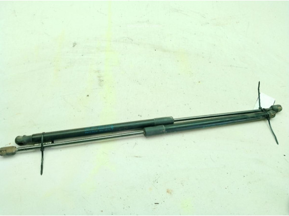 BM51A406A10AE AMORTIGUADOR PORTON / TAPA MALETA FORD FOCUS III|Desguaces La Cabaña