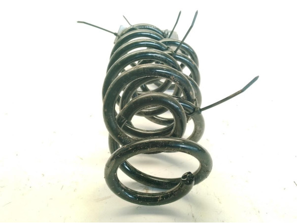 550206962R  MUELLE SUSPENSION TRA IZQ RENAULT AUSTRAL|Desguaces La Cabaña