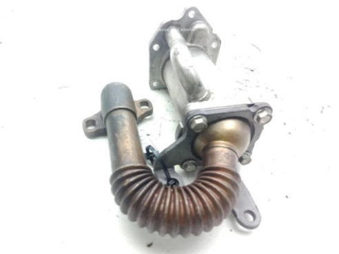 8200729079 ENFRIADOR EGR RENAULT CLIO III (BR0/1, CR0/1)|Desguaces La Cabaña