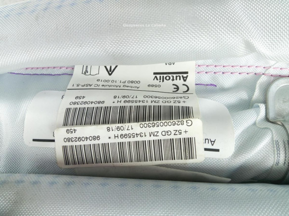 9804092380 AIRBAG CORTINA DER PEUGEOT 208|Desguaces La Cabaña
