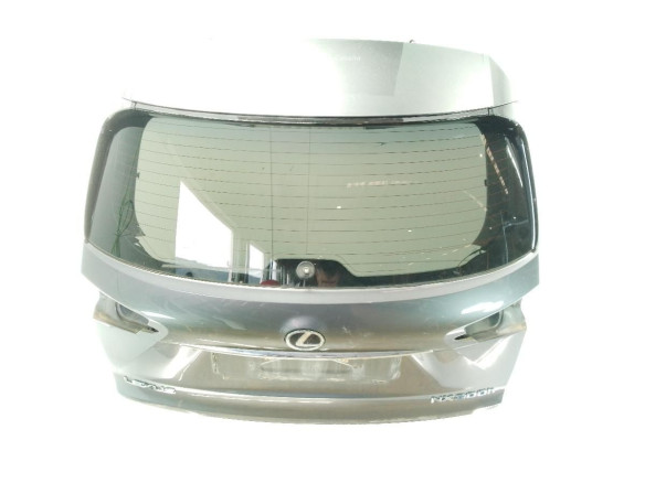 6700578040 PORTON LEXUS NX (_Z1_)|Desguaces La Cabaña