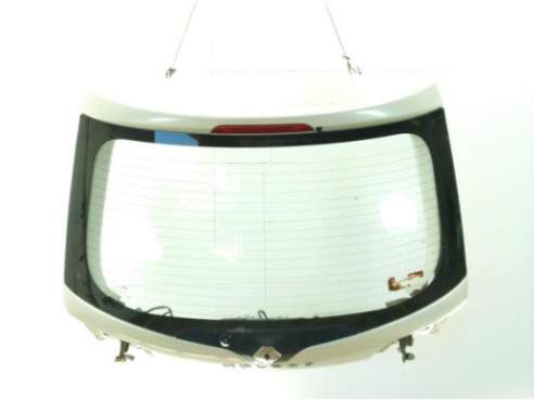 901007607R  PORTON RENAULT KOLEOS I (HY_)|Desguaces La Cabaña