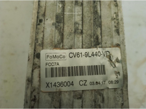 CV619L440VD INTERCOOLER FORD FOCUS III|Desguaces La Cabaña