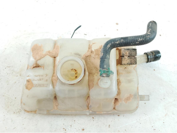 217104048R BOTE EXPANSOR RENAULT MEGANE IV Grandtour (K9A/M_)|Desguaces La Cabaña