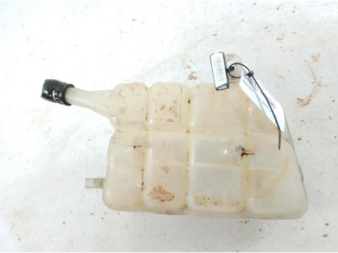217104048R BOTE EXPANSOR RENAULT MEGANE IV Grandtour (K9A/M_)|Desguaces La Cabaña