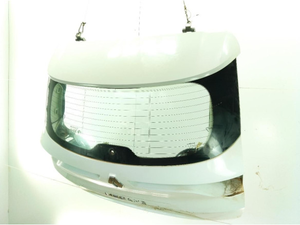 901008561R  PORTON RENAULT MEGANE IV Grandtour (K9A/M_)|Desguaces La Cabaña