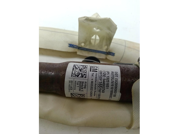 13251651 AIRBAG CORTINA IZQ CHEVROLET CRUZE (J300)|Desguaces La Cabaña
