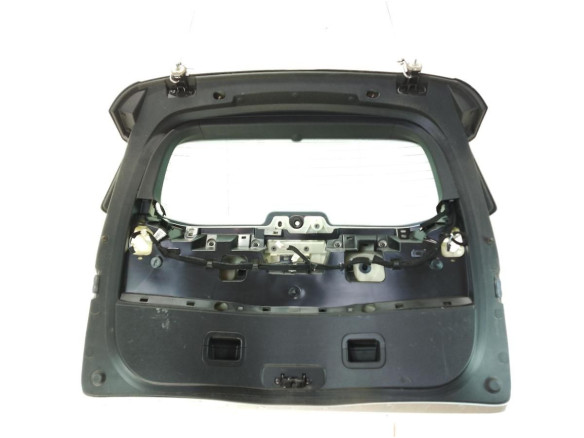 901007869R  PORTON RENAULT GRAND SCENIC IV (R9_)|Desguaces La Cabaña