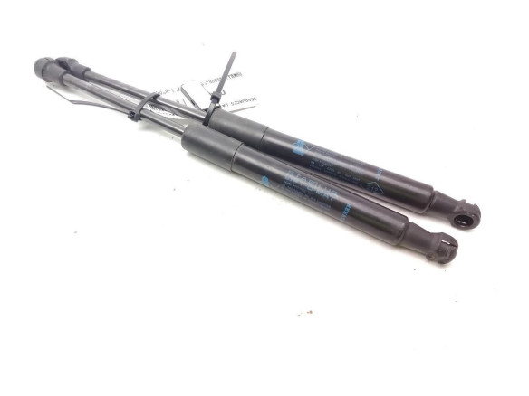 654704597R AMORTIGUADOR CAPO RENAULT GRAND SCENIC IV (R9_)|Desguaces La Cabaña