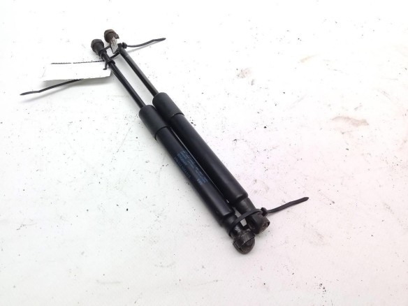 8R0823359A AMORTIGUADOR CAPO AUDI Q5 (8RB)|Desguaces La Cabaña