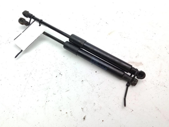 8R0823359A AMORTIGUADOR CAPO AUDI Q5 (8RB)|Desguaces La Cabaña