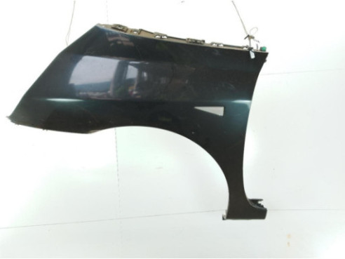 ALETA DEL IZQ RENAULT ESPACE IV (JK0/1_)|Desguaces La Cabaña