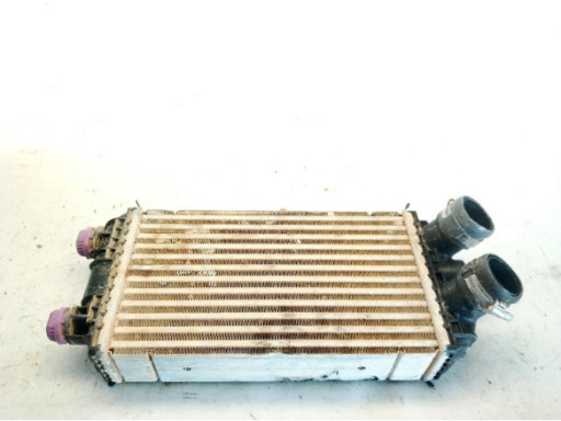 9834135980 SOPORTE MOTOR DER OPEL CORSA F|Desguaces La Cabaña