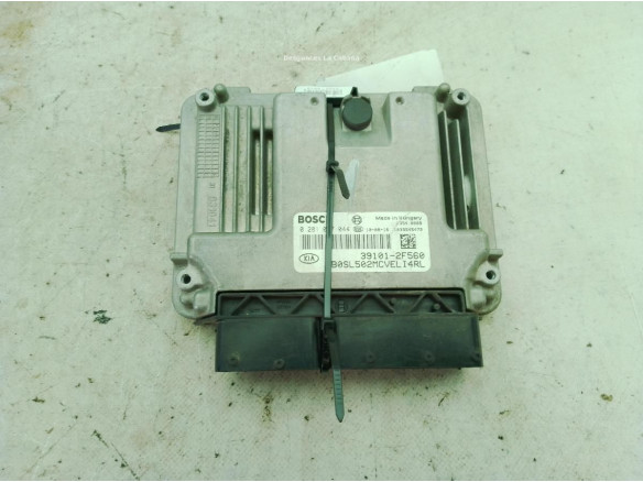 391012F560 CENTRALITA MOTOR KIA SPORTAGE (SL)|Desguaces La Cabaña