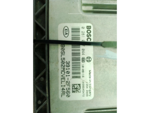 391012F560 CENTRALITA MOTOR KIA SPORTAGE (SL)|Desguaces La Cabaña