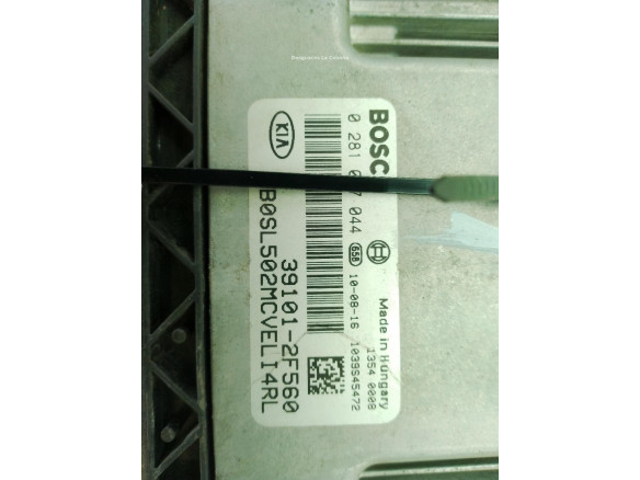 391012F560 CENTRALITA MOTOR KIA SPORTAGE (SL)|Desguaces La Cabaña