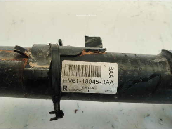 HV6118045BAA AMORTIGUADOR DEL DER FORD KUGA II (DM2)|Desguaces La Cabaña